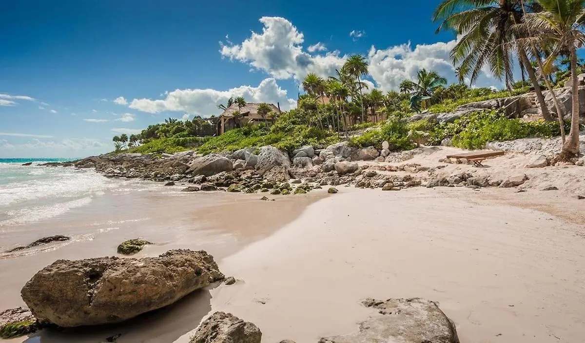 Mar Villa Right In Tulum Beach!