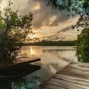 Yaxchen & Cenote Tulum